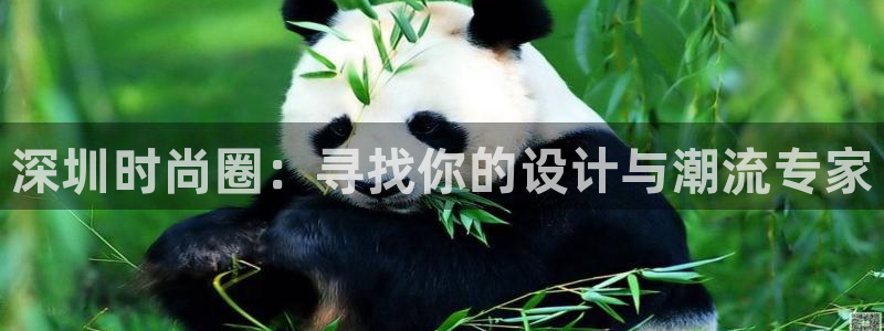 谈球吧app赛事分析在哪里看到