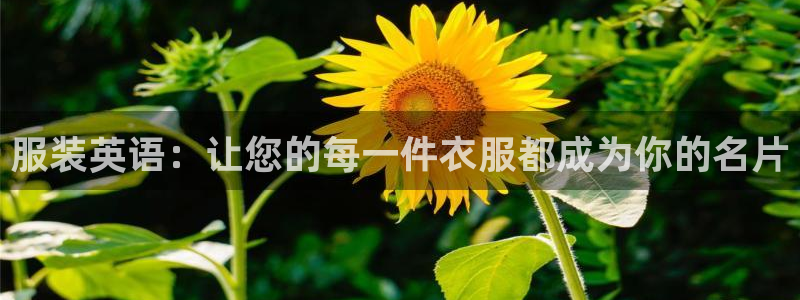 谈球吧在线登陆