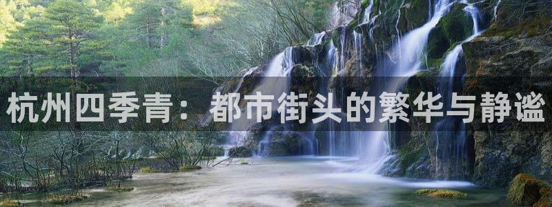 谈球吧在线
