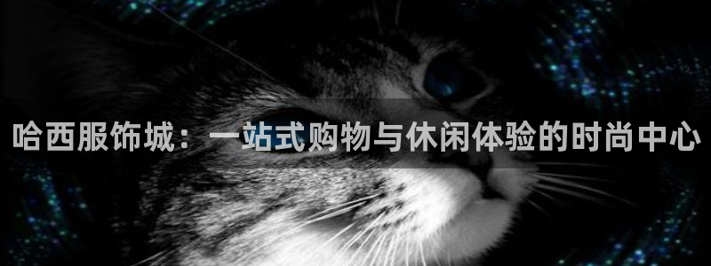 谈球吧在线