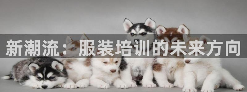 谈球吧体育app下载足球