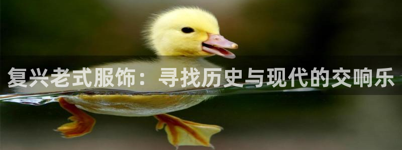 谈球吧app赛事分析报告