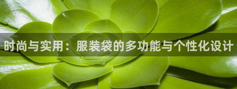 谈球吧可靠吗