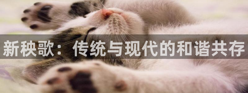 谈球吧是黑台子吗还是白台子好