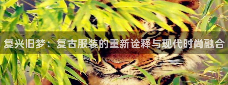 谈球吧app赛事分析报告