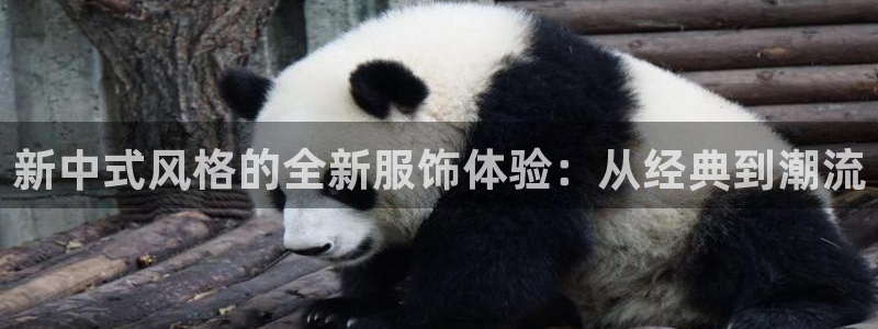 谈球吧官网在线入口免费观看高清版