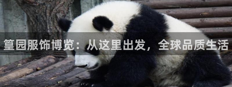 谈球吧体育app下载官网苹果版