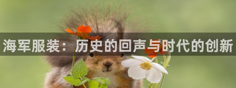 谈球吧网app官网下载