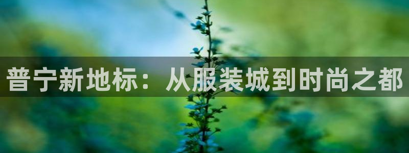 谈球吧的聊天软件
