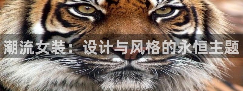 谈球吧app官网下载
