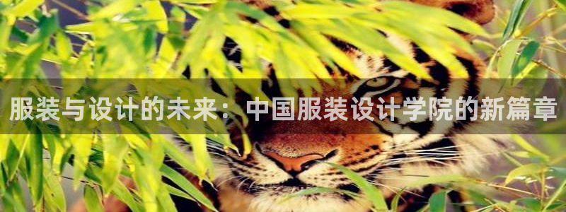 谈球吧体育app下载中心官网苹果