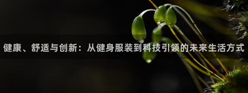 谈球吧官网在线入口手机版