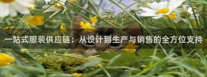 谈球吧体育app下载官网手机版安装