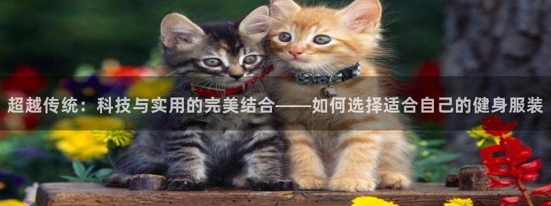 谈球吧网app官网下载