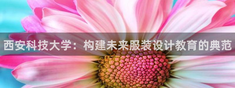 谈球吧体育官网入口