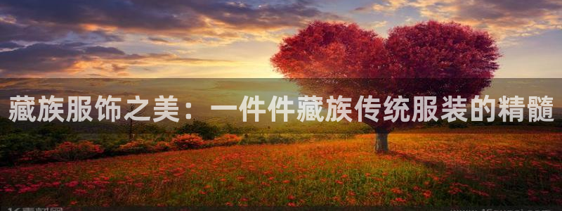 谈球吧app官网下载安卓