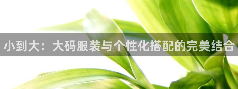 谈球吧平台app下载网址是多少