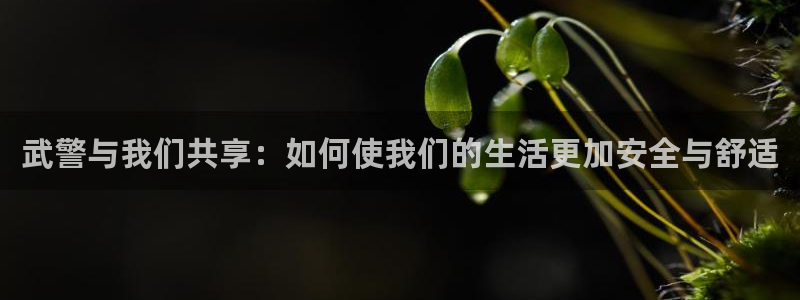 谈球吧体育app下载足球