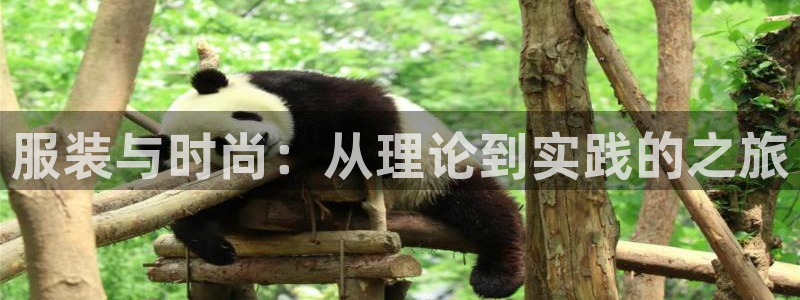 谈球吧体育app下载官网手机版