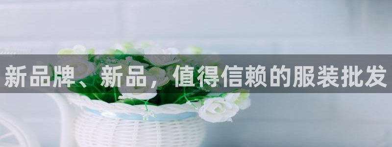 谈球吧的聊天软件下载