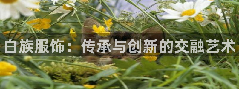 谈球吧属于哪个