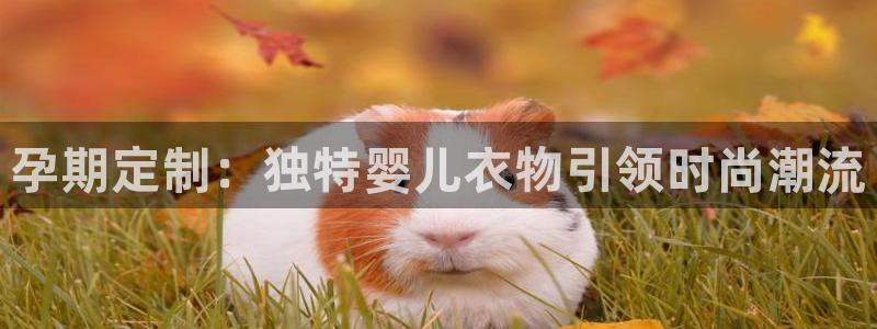 谈球吧体育app下载官网苹果版