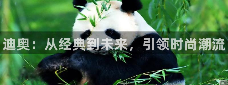 谈球吧在线登录免费观看