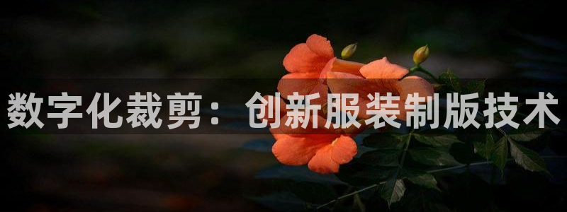 谈球吧官方网站