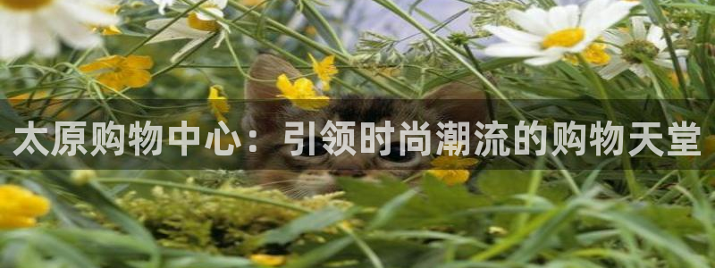 谈球吧官网入口在线观看