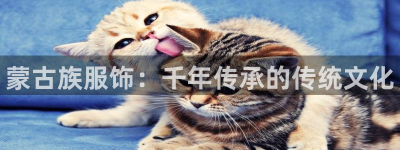 谈球吧在线登录免费观看