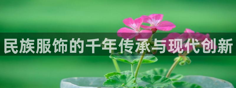 谈球吧体育app登陆不上