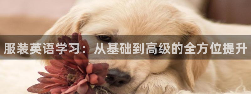 谈球吧体育app下载官网苹果版