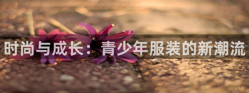 谈球吧官网在线入口免费观看