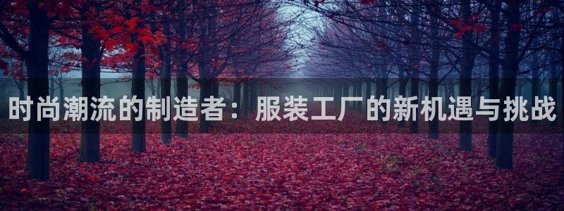 谈球吧网页登陆