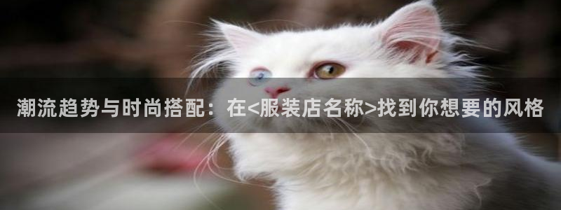 谈球吧的聊天软件叫什么