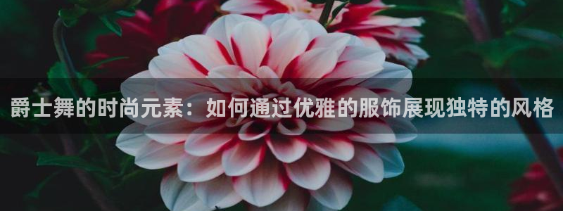 谈球吧体育官网在线入口免费观看