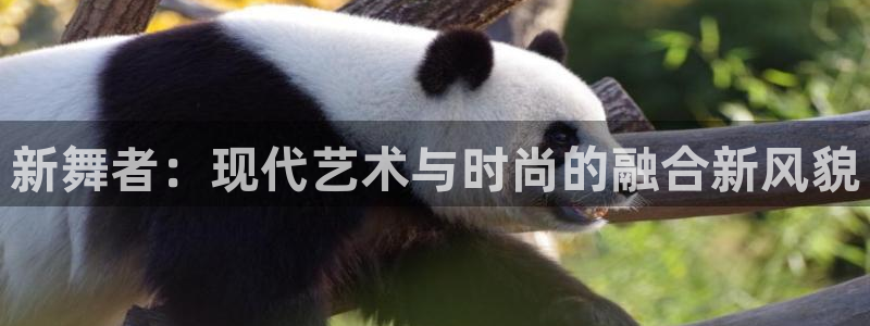 谈球吧app赛事分析报告怎么做