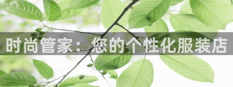 谈球吧体育官网在线入口免费观看