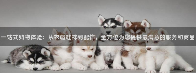 谈球吧体育app下载官网