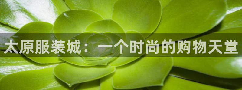 谈球吧官网在线入口手机版下载安装