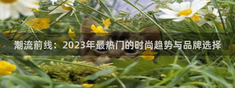 谈球吧平台黑吗?