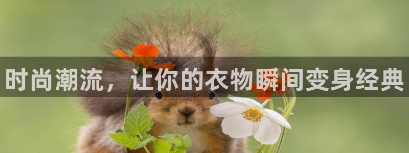 谈球吧体育app下载官网苹果手机