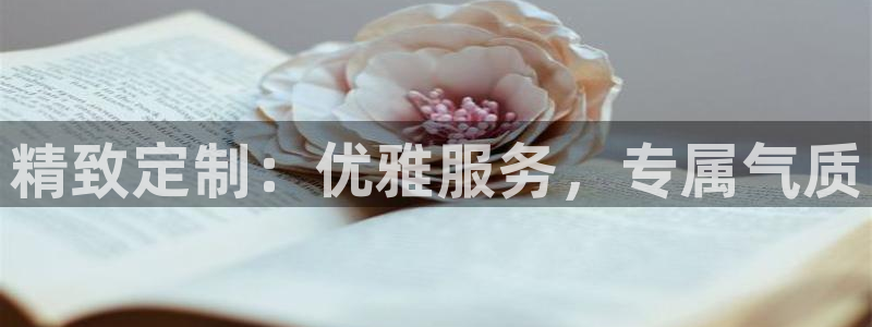 谈球吧官网在线入口免费观看高清