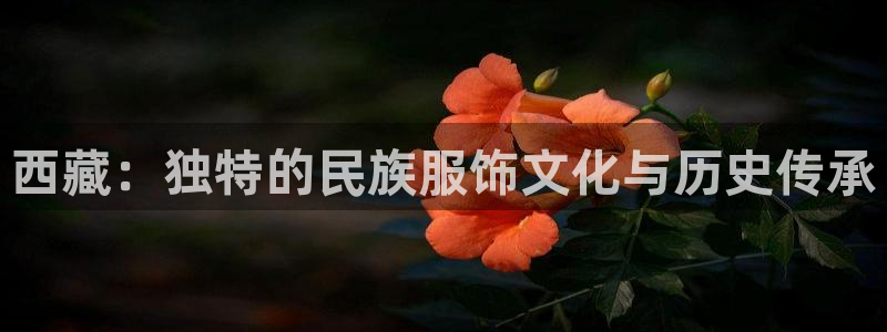 谈球吧平台正规吗可靠吗安全吗