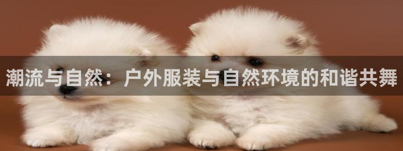 谈球吧网页版在线入口