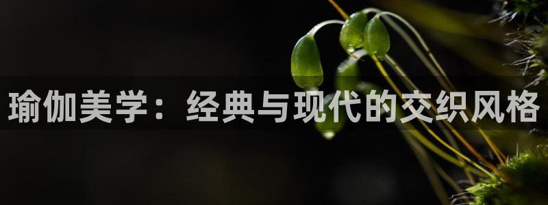 谈球吧体育综合台