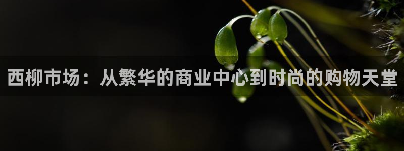 谈球吧是黑台子吗知乎全文