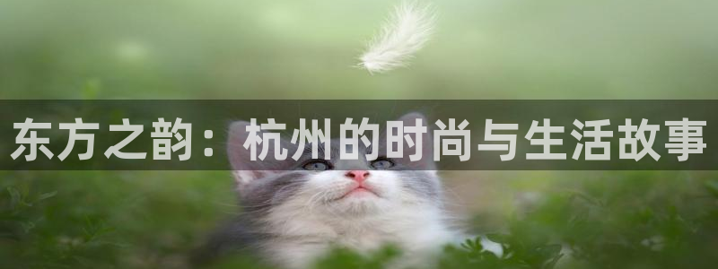 谈球吧体育app下载中心官网苹果