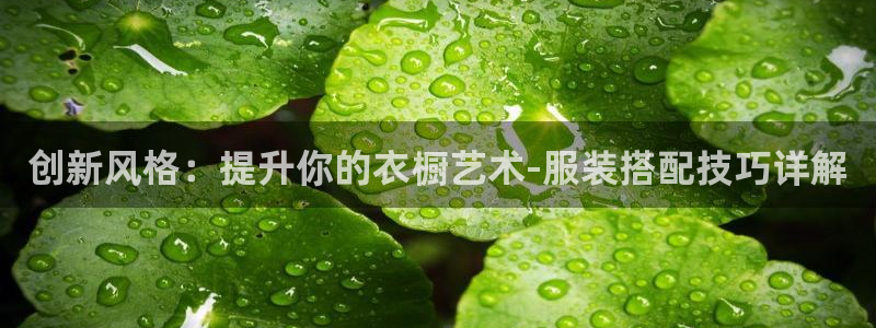 谈球吧体育app登陆不了