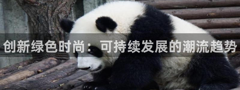 谈球吧的聊天软件有哪些